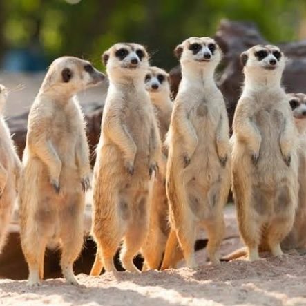 xcoM3Vy8If6xRMz's profile picture. お酒をあたえると喜びます↺