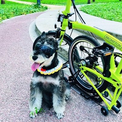 LWX513's profile picture. 演员和制片人、女权、支黑，有钱人才配与我来往，两年若事业不成功就换国籍去美国发展