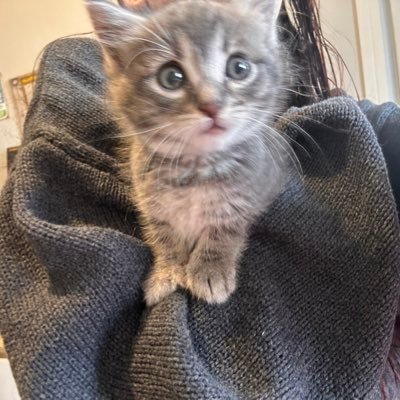 zeyno_citlembik's profile picture. instagram: citlembikzeyno YEŞİM AKBAŞ ADALET BEKLİYOR