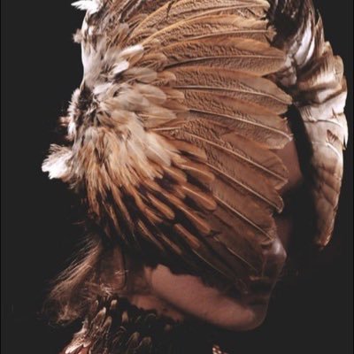 bbbirdd553's profile picture. flash from a clear sky let the fear fly