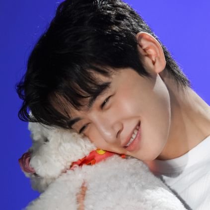 replyisa's profile picture. 