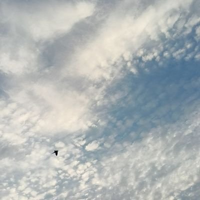 Yara_muhammed1's profile picture. MFM
41 🩺
5th grade 
 𓂆 
احنا بجد كلنا مستائين