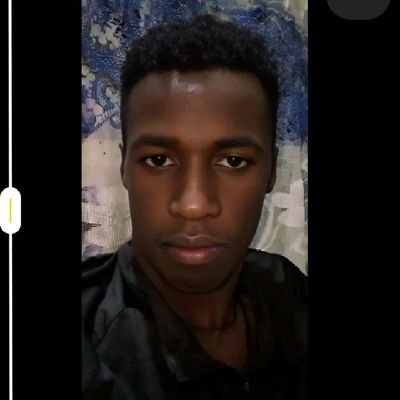 Professorl59204's profile picture. 