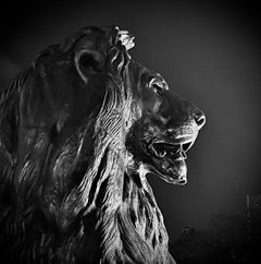 Edward_H77's profile picture. 