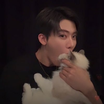 cheeseiei's profile picture. 