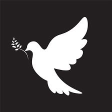 ghostedit247's profile picture. Ghost ✍️