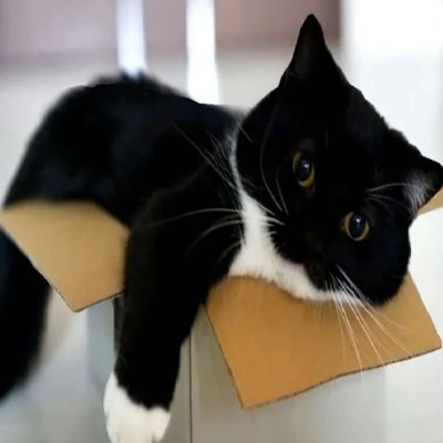 buraksosiski's profile picture. 