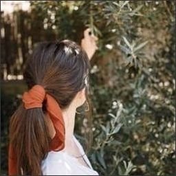 Kixik244383's profile picture. The question isn’t who’s going to let me; it’s who’s going to stop me.