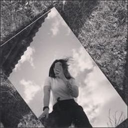 Sebastien187899's profile picture. She was a wildflower in a sea of roses.