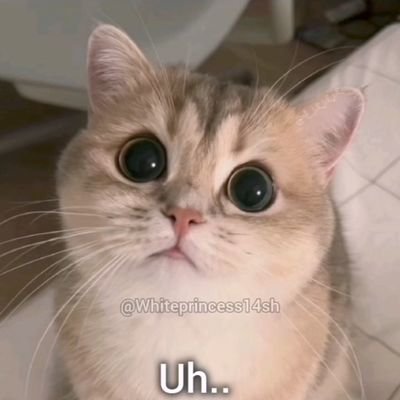 rakotoarim53346's profile picture. 