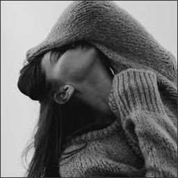 Vaclav646709's profile picture. I’m not bossy, I’m the boss.