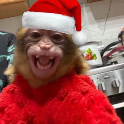 2eng7's profile picture. 