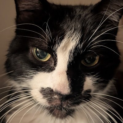 m4145tr41's profile picture. 