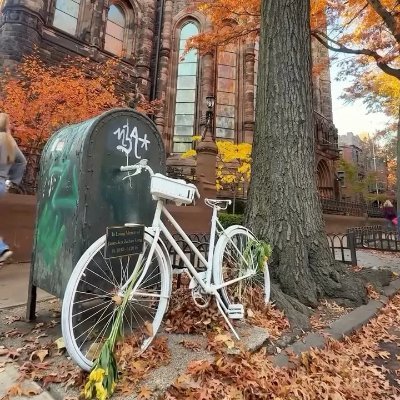 Pczbqmc's profile picture. 北欧の森を歩くと空気は透明な言葉のようだった
木々の影の中で自分の影と仲直りした
この先は日本の自然から静けさの哲学を学びたい
投資は私の生活習慣。