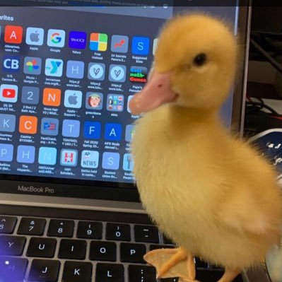 gangxta13926's profile picture. 