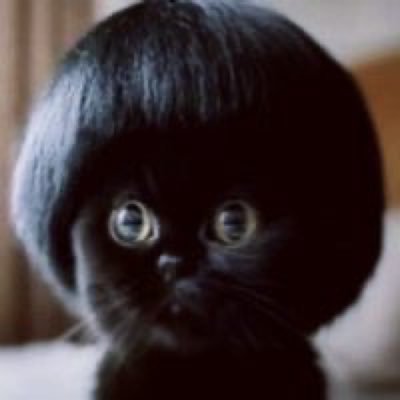 faggyma's profile picture. homophobic fatphobic transphobic jobphobic racist