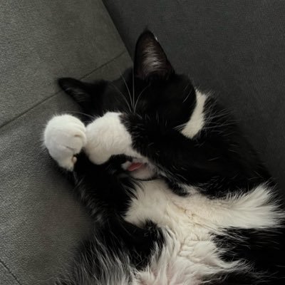 Jhonatan1724701's profile picture. 