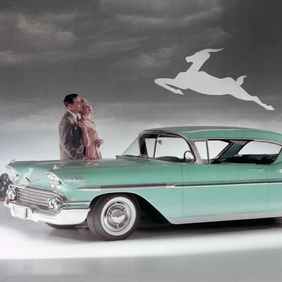 mpala888079's profile picture. 