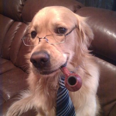 Serkvoid's profile picture. Learn to live, rest when you die. Everything you need is within you