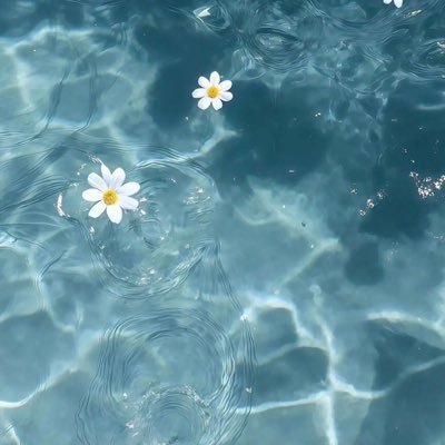 yyswss1151030's profile picture. 🩵💭