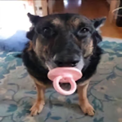 Taritosen's profile picture. Haha yeah | 🪡 @sa_ka_na1178