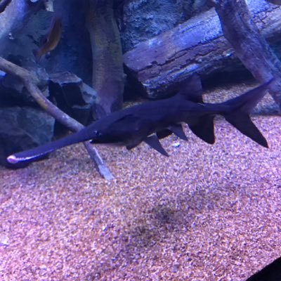 doittodoit5's profile picture. 8 figure dreams 💪🏽💪🏽