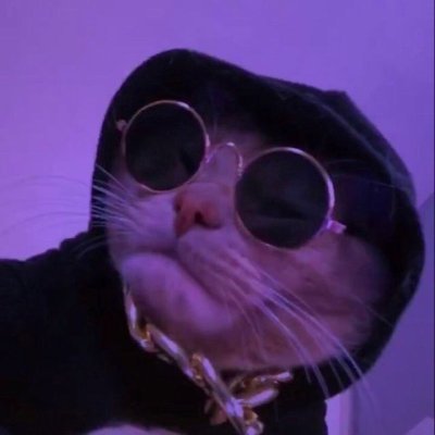 rajanjh40593219's profile picture. Building @ DevScholar , Event Info  , Fullstack + web3 developer  

https://t.co/KP3gBMZTBm