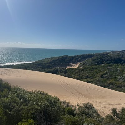 arona2x's profile picture. 