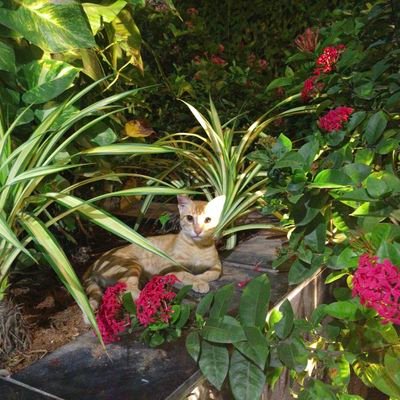 mac_mohan's profile picture. #stufflistingsarmy @stufflistings