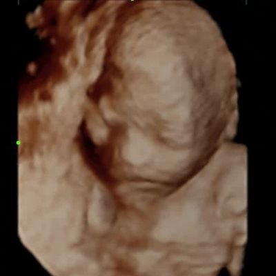 auarchives__'s profile picture. 