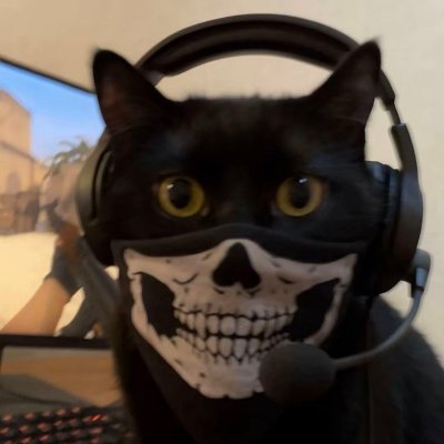 Moo_g8's profile picture. 