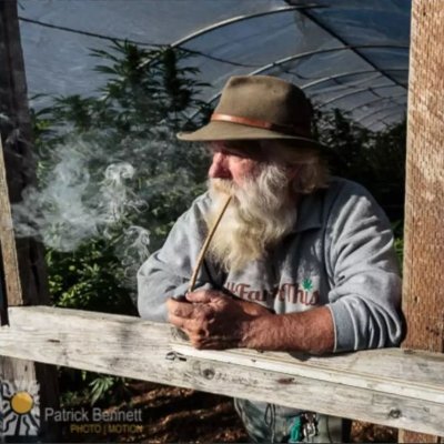 jpceccaldi's profile picture. J'écris donc je suis - Fondateur & Ex-Rédacteur @LeCannabiste 
- Pacifiste et amateur de mots - compte perso 

#LegalisezLE