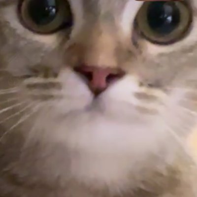 farisrachman_1's profile picture. Independent researcher | Formerly @imfnews | M.S. Quant Econ @nyustern, B.Econ @DepIE_FEBUI | The world is second best, at best. Tweets are my own.