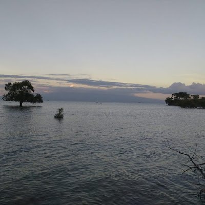 ikhsan15503's profile picture. 