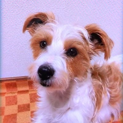 SOo9XdeNgl65668's profile picture. 