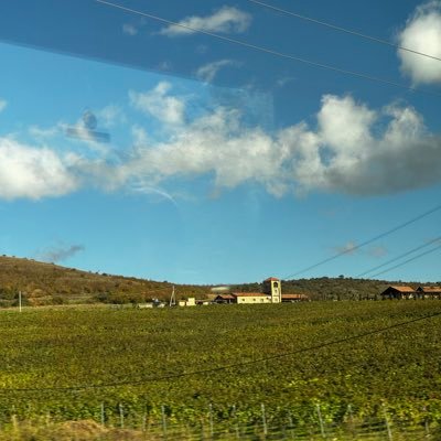 oluwanifemi__a's profile picture. Feminist 🫶🏾