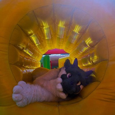 cukinfluff's profile picture. 🐲M - 26
🦁❤️@ZakiLeon1994
👨‍🎓 Information Systems Engineer
🚩🇦🇷 
💬ES - EN - DE
✂️@UrsidaeSuits

Expect balloons, pooltoys, paws, vore, etc +18 ACCOUNT