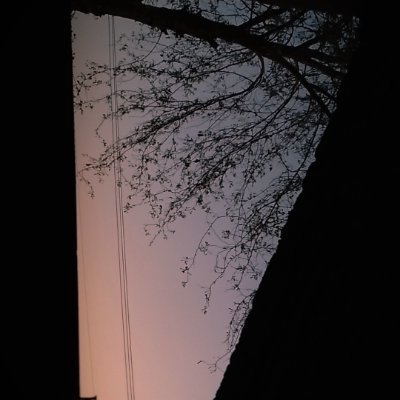 epic_affiliate0's profile picture. Medicine 💊| Cricket 🏏 & Football ⚽