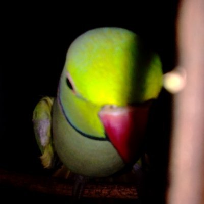 jolly_abh's profile picture. I navigate blockchain ecosystems to maximize rewards with precision.