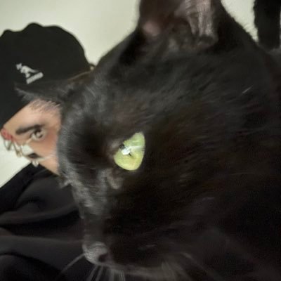 _luupy's profile picture. ass de prod, vidéaste, monteur, tout ça tout ça