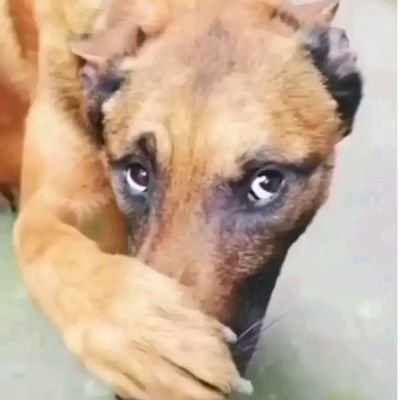 Rioprntaksndi19's profile picture. 