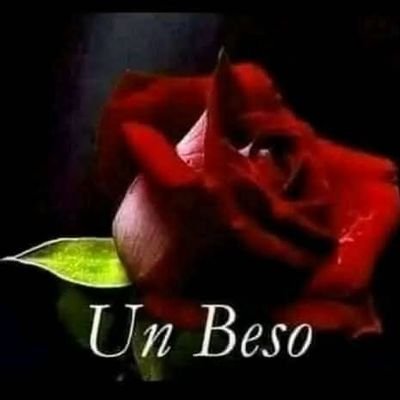 s1985b1011's profile picture. 