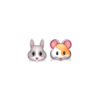 jaesungdaily's profile picture. for #재민 🐰🐱 and #지성 🐹🌰