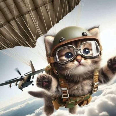 NATOfella's profile picture. 