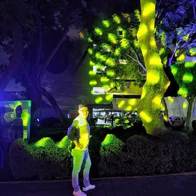 ale_erwi's profile picture. 