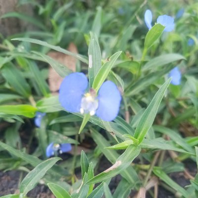 cryptocracko80's profile picture. Just fun