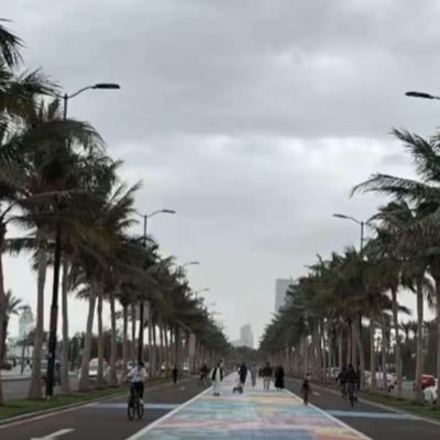 GanaAlshawi's profile picture. 