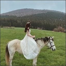 Feefor213676's profile picture. 