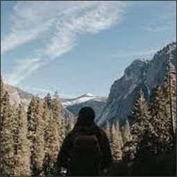 awhieiko93158's profile picture. 