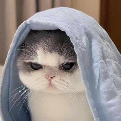 23ronjwin's profile picture. Here for dream musics try to keep things healthy here